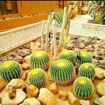 Riad Dar Sofian Zagora Buitenkant foto