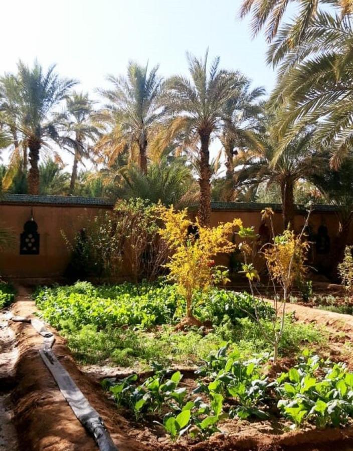 Riad Dar Sofian Zagora Buitenkant foto