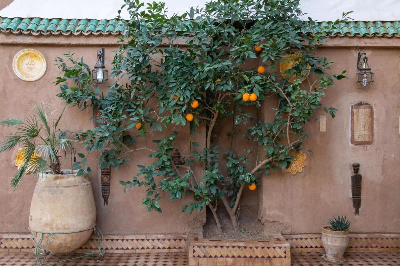 Riad Dar Sofian Zagora Buitenkant foto